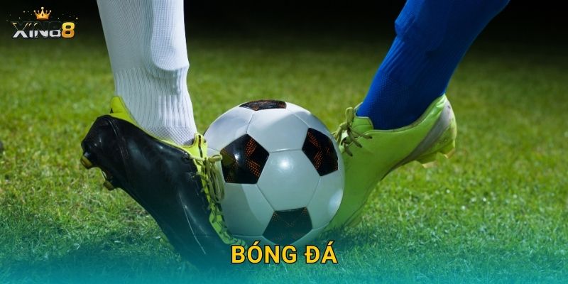 Bóng đá XIN88 – Kèo đa dạng, tỷ lệ đẹp và dữ liệu chuyên sâu 4 Bóng đá XIN88 – Kèo đa dạng, tỷ lệ đẹp và dữ liệu chuyên sâu