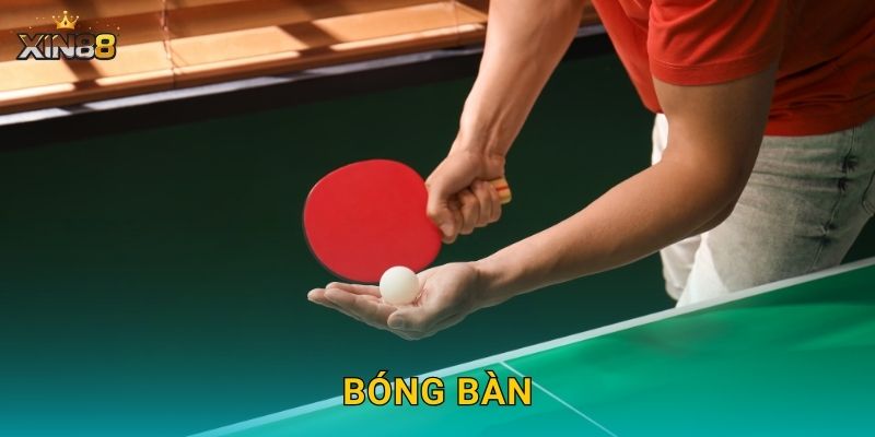 Bóng bàn XIN88 – Cược điểm từng set, live và tỷ lệ cuốn hút 7 Bóng bàn XIN88 – Cược điểm từng set, live và tỷ lệ cuốn hút