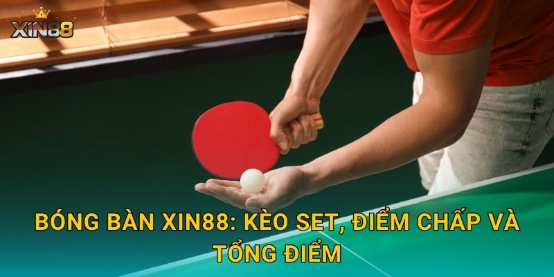 Bóng bàn XIN88 – Cược điểm từng set, live và tỷ lệ cuốn hút 2 Bóng bàn XIN88: kèo set, điểm chấp và tổng điểm