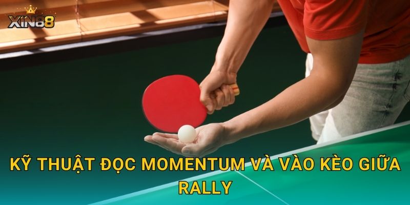 Bóng bàn XIN88 – Cược điểm từng set, live và tỷ lệ cuốn hút 3 Kỹ thuật đọc momentum và vào kèo giữa rally