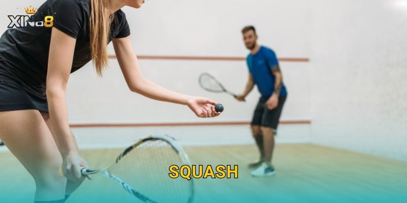 Squash XIN88 – Cược set, live sôi động và dữ liệu chuyên sâu 19 Squash XIN88 – Cược set, live sôi động và dữ liệu chuyên sâu