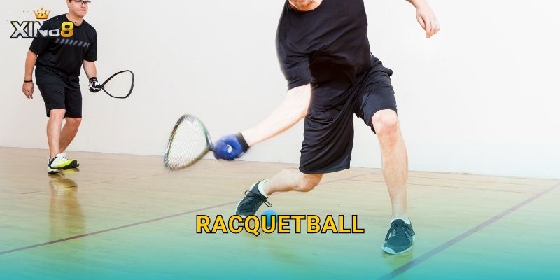 Racquetball XIN88 – Kèo set/game hấp dẫn, cược live hấp dẫn 25 Racquetball XIN88 – Kèo set/game hấp dẫn, cược live hấp dẫn