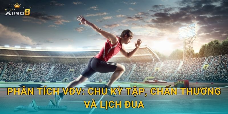 Điền kinh XIN88 – Cược thành tích, kèo đặc biệt, phân tích sâu 3 Phân tích VĐV: chu kỳ tập, chấn thương và lịch đua