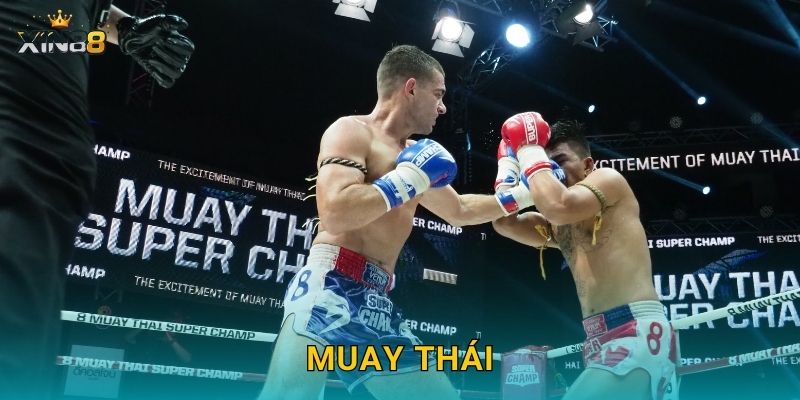 Muay Thái XIN88 – Tỷ lệ đẹp, cược kết quả và phân tích kèo sâu 22 Muay Thái XIN88 – Tỷ lệ đẹp, cược kết quả và phân tích kèo sâu