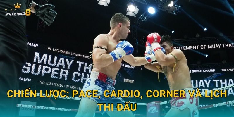 Muay Thái XIN88 – Tỷ lệ đẹp, cược kết quả và phân tích kèo sâu 3 Chiến lược: pace, cardio, corner và lịch thi đấu