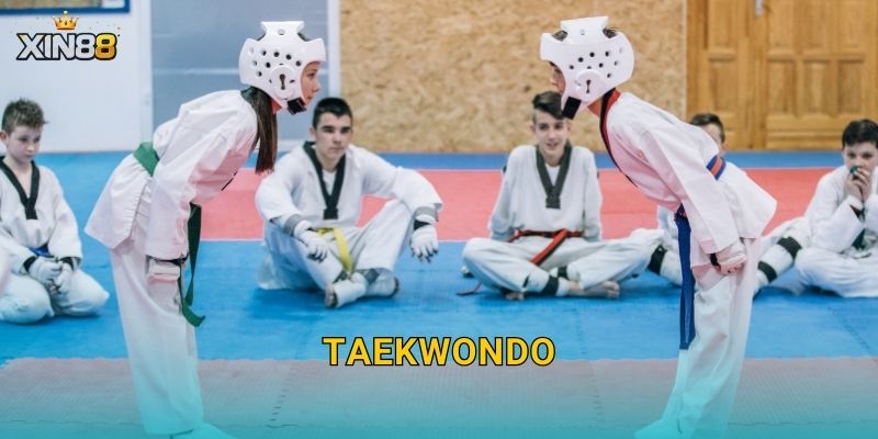 Taekwondo XIN88 – Kỹ thuật bùng nổ, kèo hiệp hấp dẫn đỉnh cao 22 Taekwondo XIN88 – Kỹ thuật bùng nổ, kèo hiệp hấp dẫn đỉnh cao